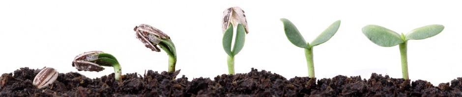 forward therapy online counselling narrative therapy therapy images