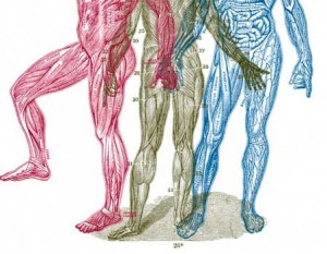 picture of three bodies