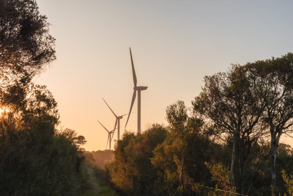 Sustainable psychotherapy is environmentally friendly counselling over the Internet